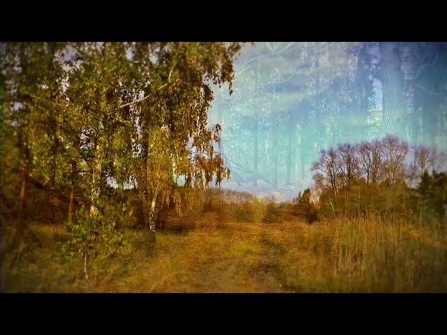 Russian Ethnic music on Gusli Primordial Rus 432 Hz ◈ Beautiful music for the soul 432 Hz