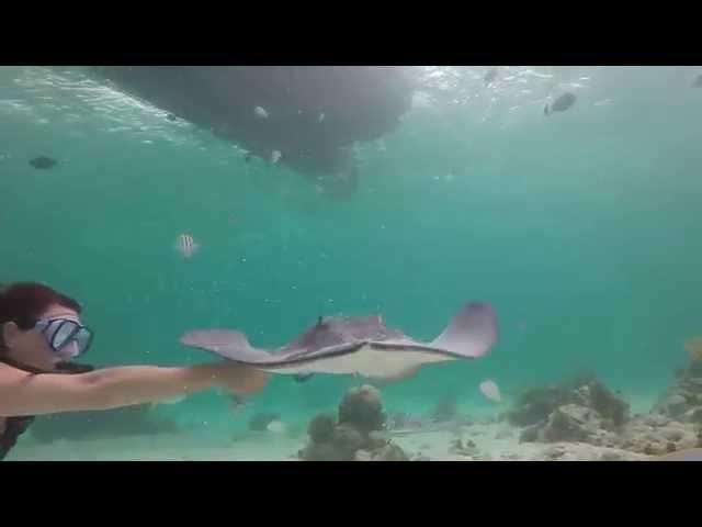 Stingray City (dive site). Grand Cayman 04/21/14