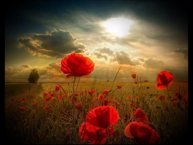 PASSCHENDAELE - THE ZOGGS with Michael Corri
