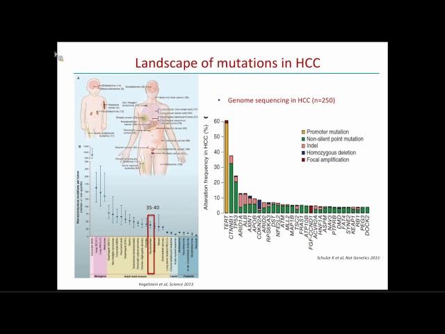 Molecular Targeted Therapies for Advanced HCC