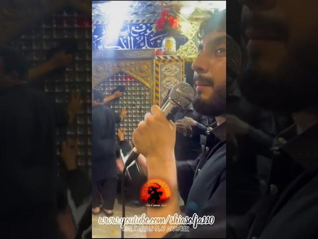 SYED WASIF NAQVI | HAYE HAYE ALI AKBAR | MAQAM ALI AKBAR (A.S) | MUHARRAM 2024 |