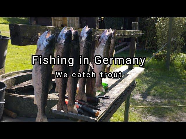 Trout fishing in Germany