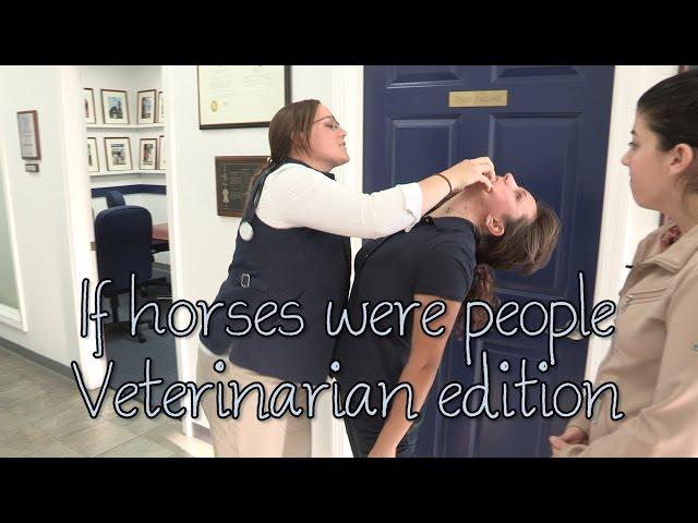 If horses were people - Veterinarian edition