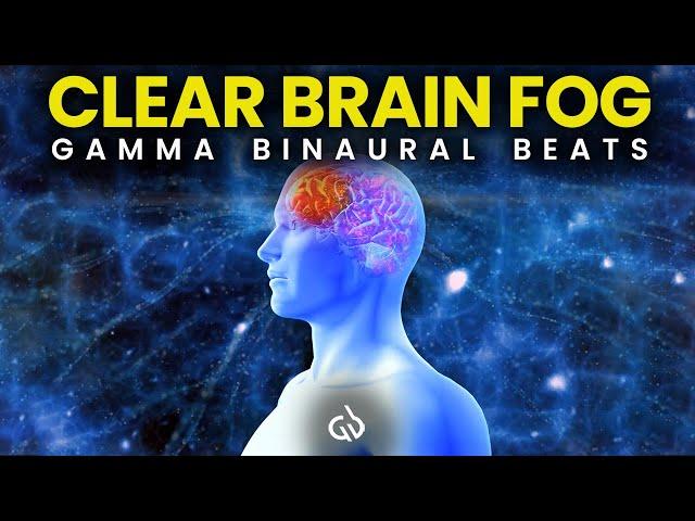 Clear Brain Fog: Gamma Binaural Beats for Focus & Mental Clarity