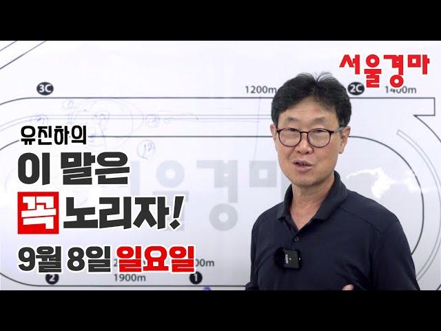 유진하의 이 말은 꼭 노리자!(2024년 9월 8일 일요일)