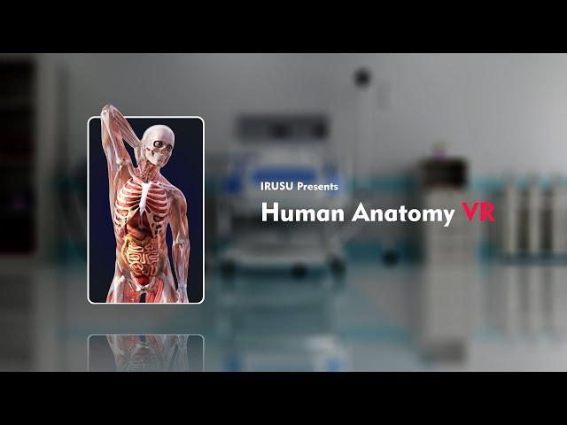 Human Anatomy 4D Preview in mixed reality, virtual reality and agumented reality