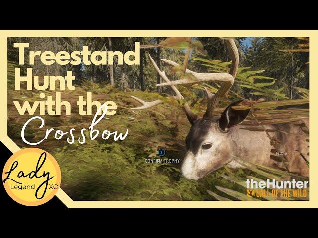 Treestand Hunt with the Crossbow! - Hunter: Call of the Wild