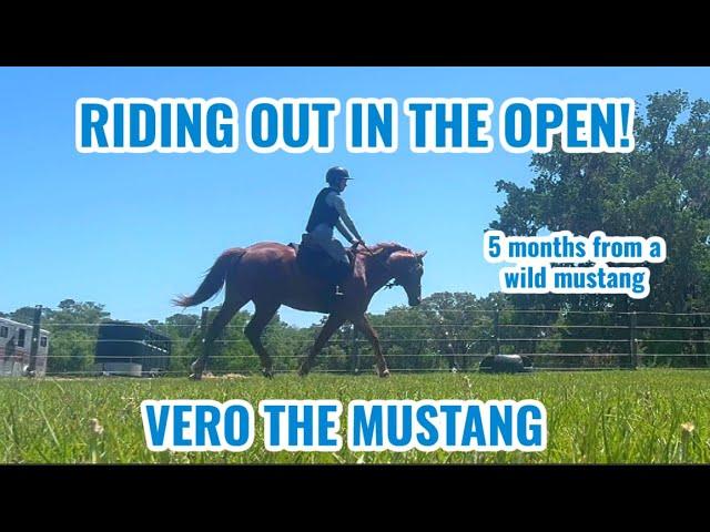 Riding Out in the Open - 5 Months From Wild | Vero 9