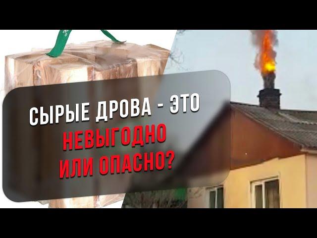 В чем опасность сырых дров? Где брать сухие дрова? Чем топить камин?