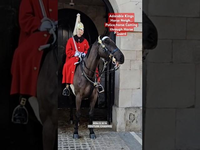 THE ADORABLE KINGS HORSE'S  NEIGH...AT HORSE GUARD #royalguard #royalhorseguard