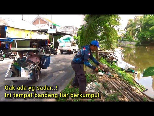 Gak normal! Mancing panen bandeng di sungai liaran