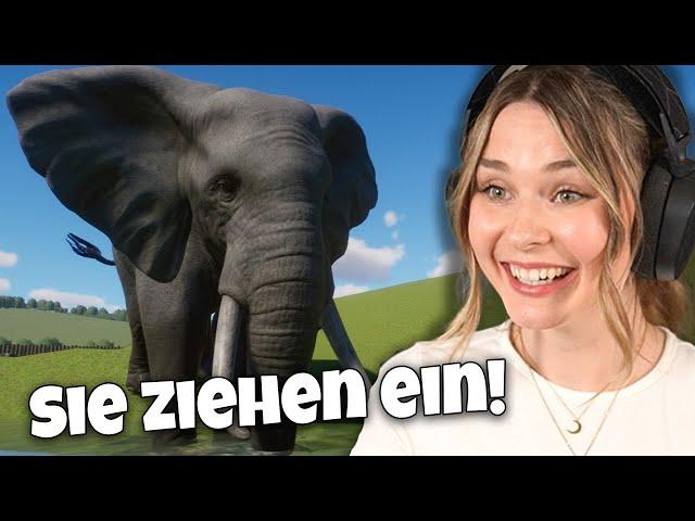 Die Elefanten ziehen endlich ein! - Planet Zoo: Muckelzoo 95 (Stream vom 09.08.2024)