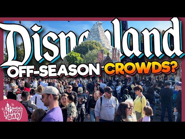 How Crowded is Disneyland in the Off-Season? | January 2024 Wait Times