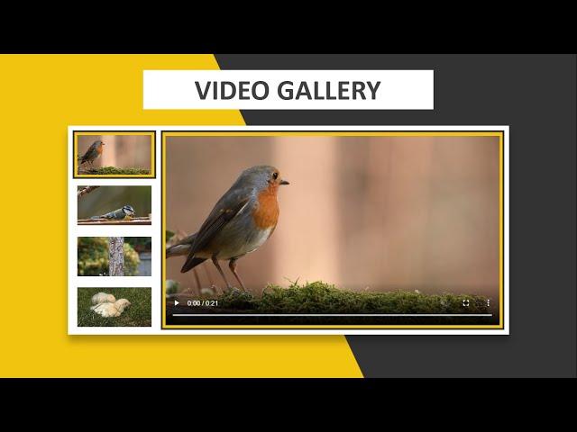 How To Make Video Gallery Using HTML CSS & JQUERY || Step By Step