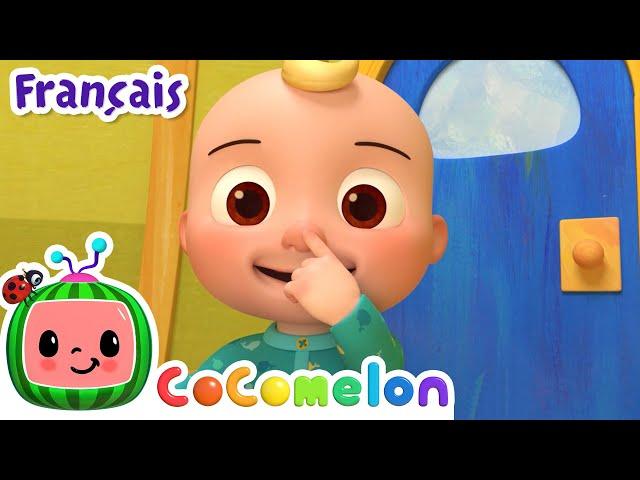 Tête épaules genoux pieds | CoComelon en Français | Chansons pour bébés