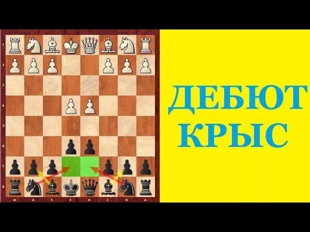 КРЫСИНАЯ ЗАЩИТА. КОВАРНЫЙ ДЕБЮТ В ШАХМАТАХ. Школа шахмат d4-d5.