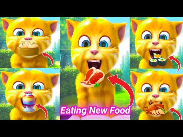 Talking Ginger Eating New Food  | talking ginger funny videos | talking ginger cat |