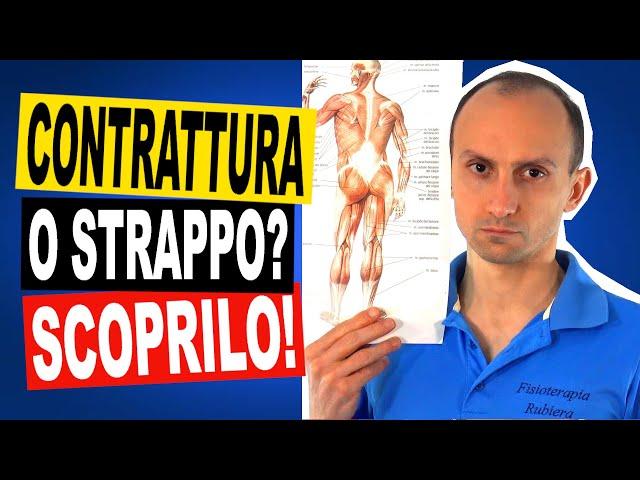 Contrattura o Strappo Muscolare? Quali Sono le Differenze?