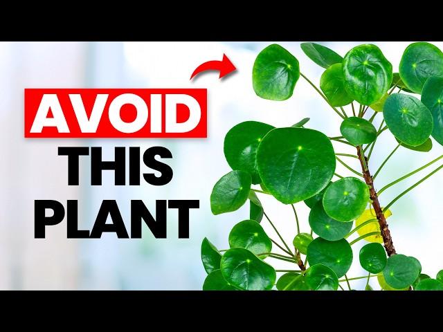 DON'T WASTE YOUR TIME With These 10 Nightmare Plants