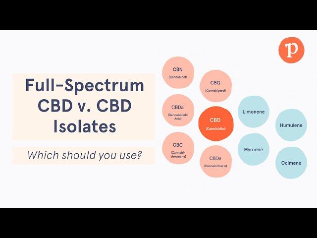 Full spectrum vs CBD isolates | Which Type of CBD is Better?