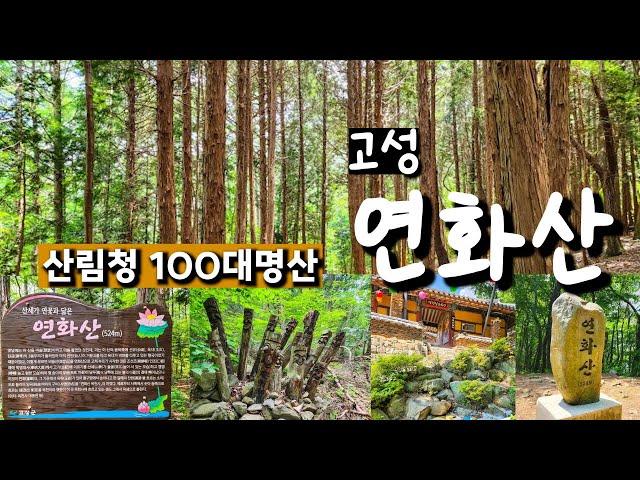 고성 연화산 6월산행 후기(산림청 100대명산, BAC명산100+ 인증)