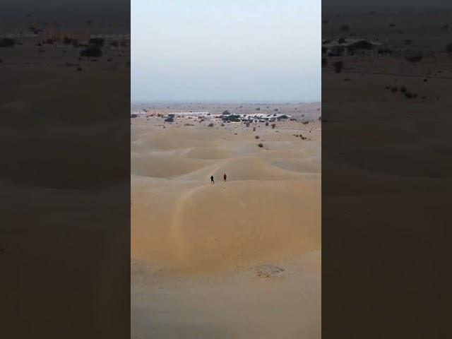 thar desert sand dunes #shorts #india #travel #drone