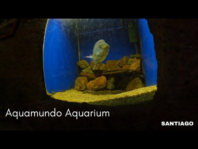 Aquamundo Aquarium in Santiago, Chile. Acuario Aquamundo