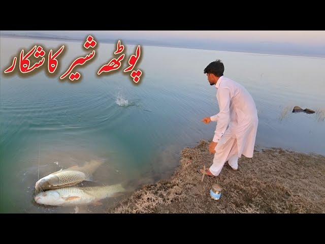 Potha Sher Mein Shikar | Mangla Dam Fishing | Hammad Official