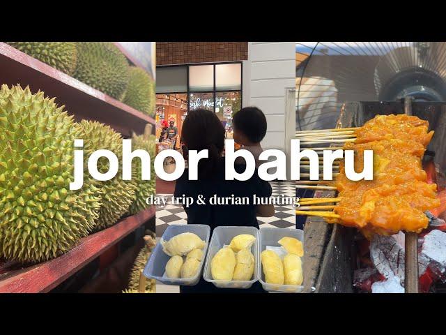 a short day trip to johor bahru | durian hunting, seafood dinner, car wash, groceries