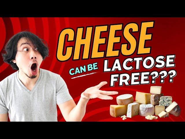 What Cheeses Are Lactose Free? (Guide For Lactose Intolerant Cheese Lovers)