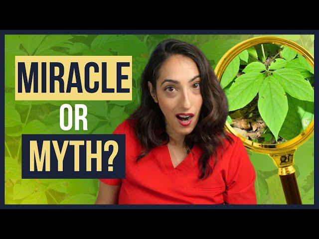 Is Panax Ginseng the Miracle Sex Pill You Want?! | Urologist Explains