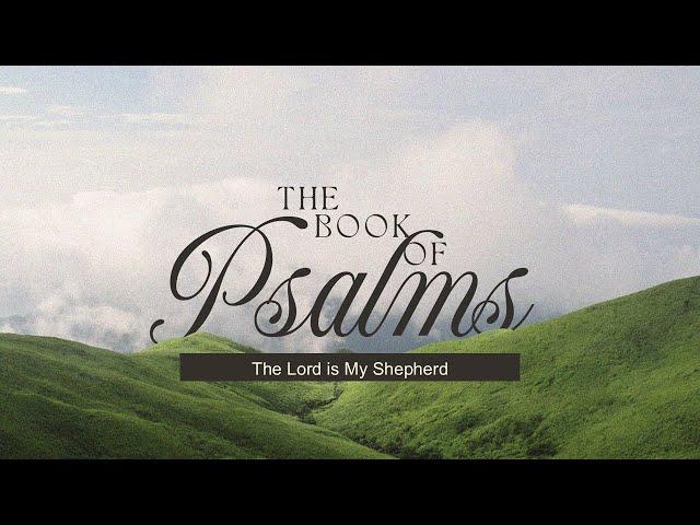 The Book of Psalms | The Lord is My Shepherd | Guest Speaker Pastor Matt Morton