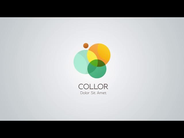 Clean & Professional Logo Animation 03