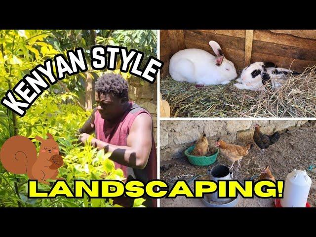 random house updates/trimming shrubs Kenyan style/Marilyn & Elvis Aluzimbi Volg