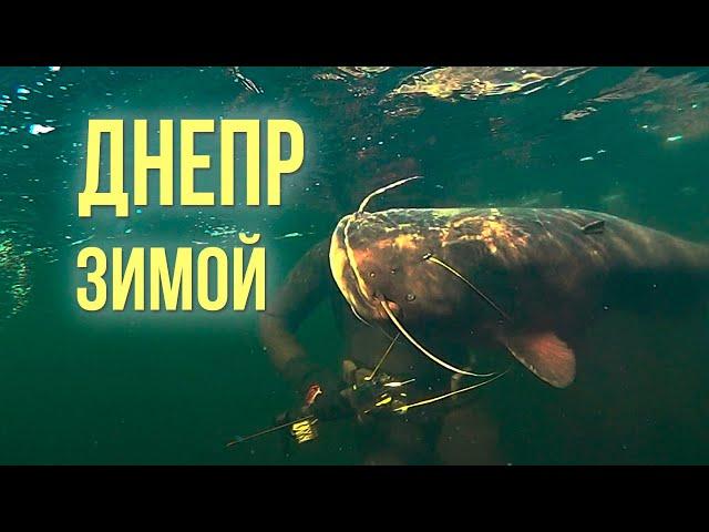 Подводная охота на Днепре (Spearfishing on the Dnieper)