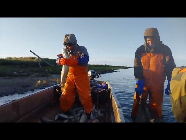 Рыбный промысел у Восточно-Сибирского моря