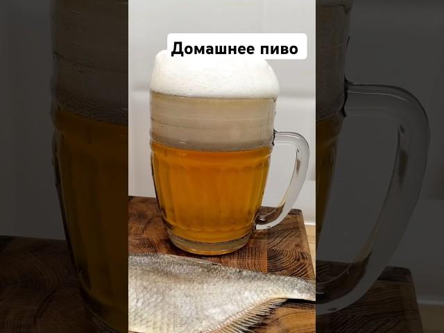 Пиво домашнее #рецепт #пиво #beer #домашнеепиво