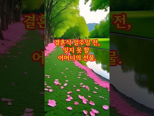 결혼식 일주일 전, 잊지 못 할 어머니의 선물. #라디오드라마 #사연 #사연라디오 #감동사연 #치매