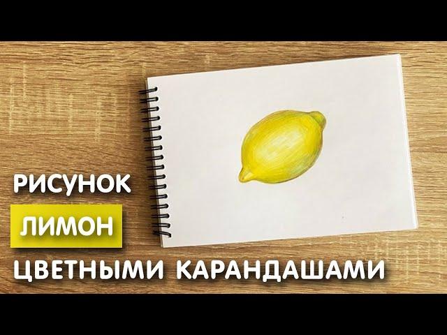 Рисунок цветными карандашами лимона | Поэтапная срисовка для начинающих