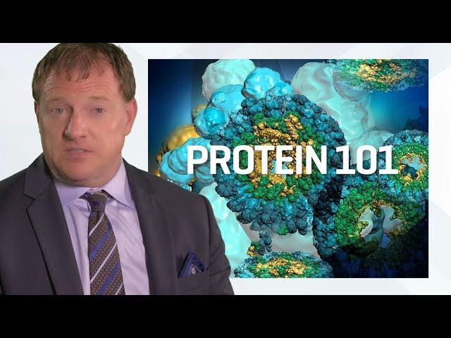 Power of Protein in Recovery from ICU and Illness: Paul Wischmeyer M.D.