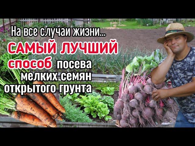 Сею #МОРКОВЬ, #СВЕКЛА, #ЗЕЛЕНЬ, #САЛАТЫ и #ПРЯНЫЕТРАВЫ только ТАК, и #УРОЖАЙ СОБИРАЮ МЕШКАМИ!
