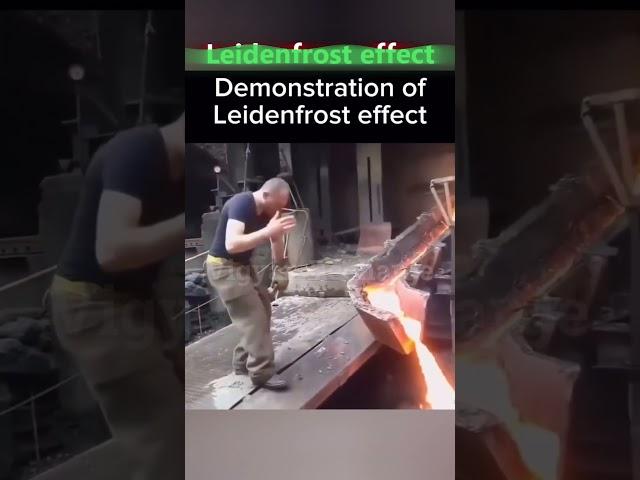 Leidenfrost effect #science #fun #shorts #entertainment
