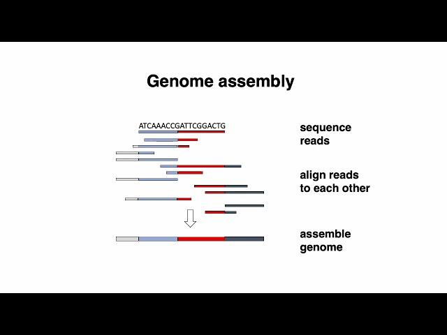 (2022) MCB 182 Lecture 1 - DNA Sequencing