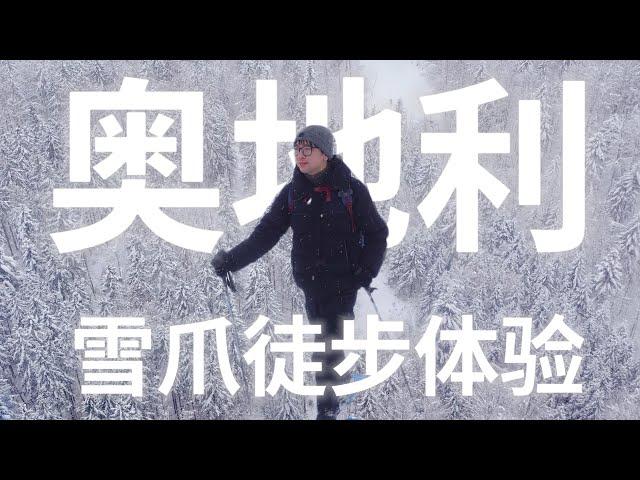 流浪地球现实版 !? 我老婆: 这是度假? 不会是渡劫吧! 奥地利雪爪徒步新体验 | 德国周边玩什么