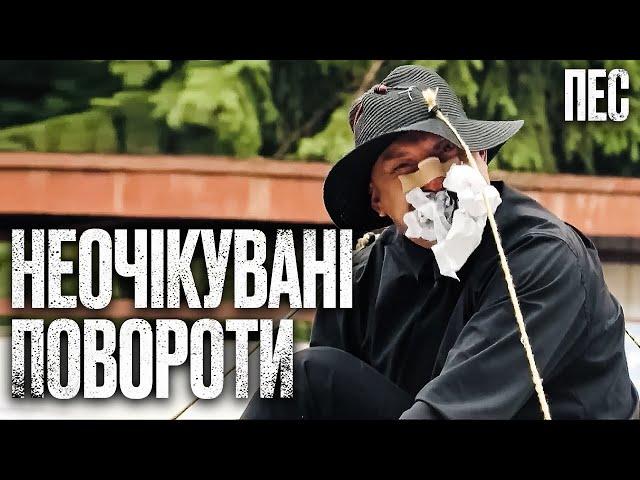 Слідчі не були готові до таких подій – Серіал Пес 2025 | ДЕТЕКТИВ | НАЙКРАЩИЙ СЕРІАЛ ПРО ПСА
