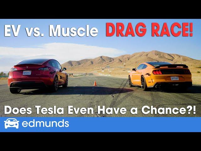 Drag Race! Tesla Model Y vs. Shelby GT500 | EV vs. Muscle | 0-60 Performance & More