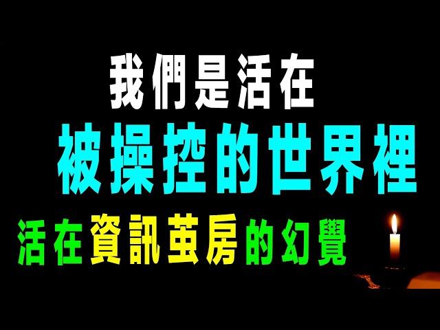 認知是一種受控幻覺：我們是活在被操控的「資訊茧房」裡，認知覺醒與批判性思維者只有5%的人