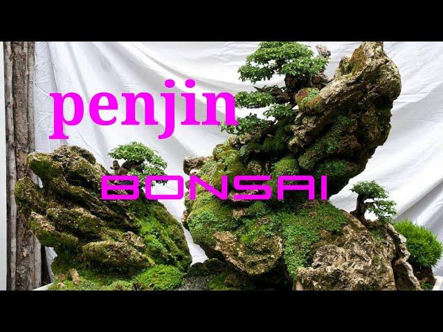 Penjin bonsai landscape