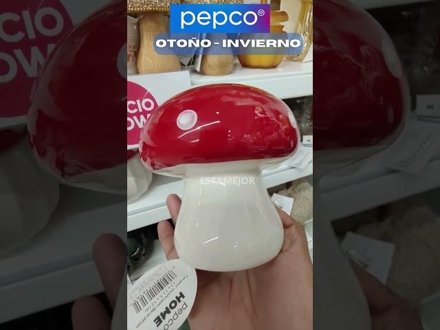 FINDS PEPCO  OTOÑO #pepco #noutățipepco #pepcoshop #pepcohaul #pepcospain #pepcohome #pepcohalloween