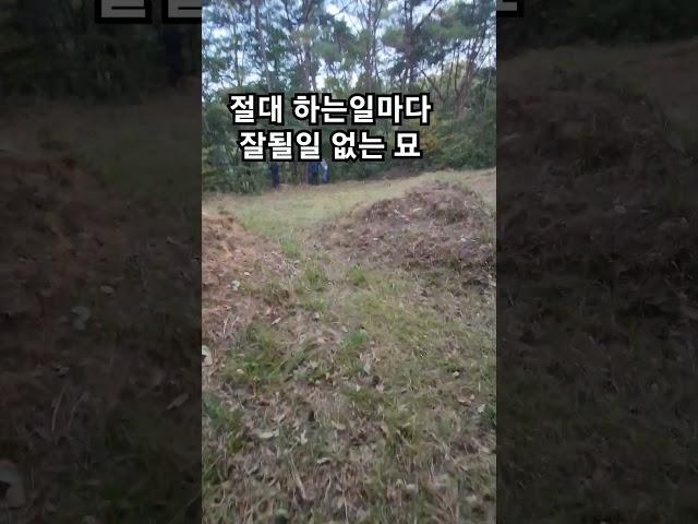 절대 이런곳 조상묘 있다면 불행의 씨앗 입니다. #풍수 #명당 #벌초